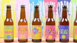 Heineken nieuw moederbedrijf craft brewer Oedipus