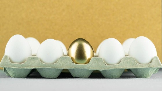 Traineeships: de 'finishing schools' voor young M&A'ers