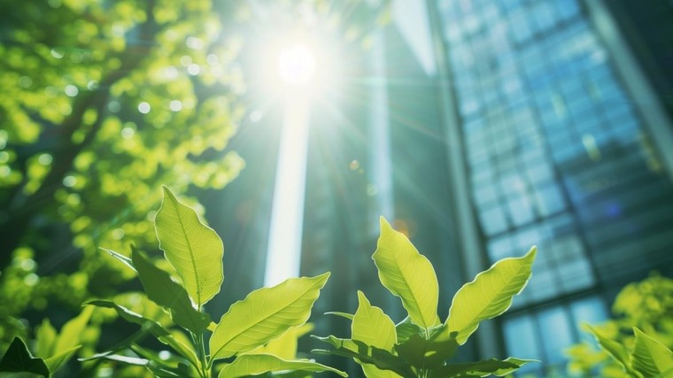 Good Growth Collective: de meerwaarde van ESG Due Diligence: inzicht in impact, risico’s en groeikansen