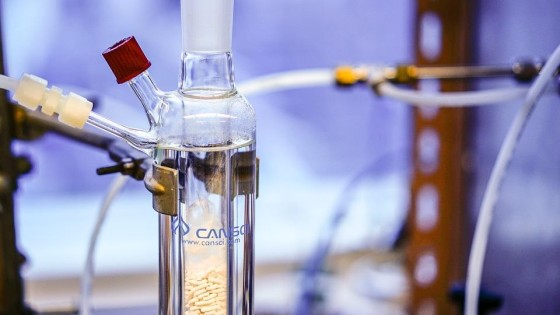 Beoogde beursgang moet Avantium 100 miljoen opleveren