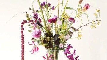 Nederlandse bloemenstartup sleept Belgische en Nederlandse miljoenen binnen