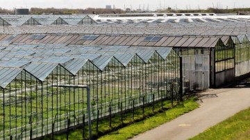 Overname in de glastuinbouw wegens ouderdom