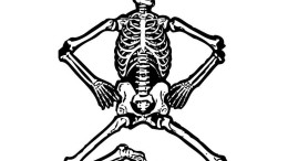 'Veel interesse in failliet Wirecard'