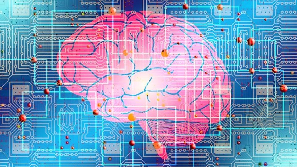 Vortex haalt 75 miljoen op voor nieuw techfonds