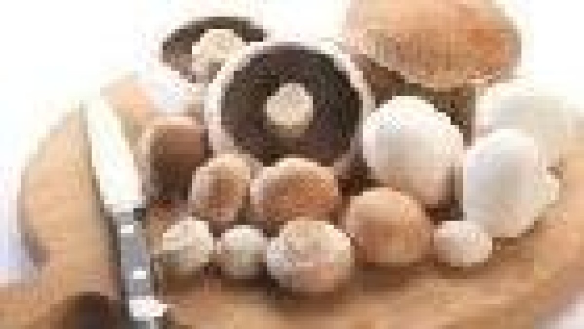 Deterink Advocaten verkoopt assets Prime Champ aan Ierse champignonreus