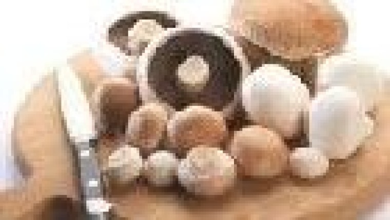 Deterink Advocaten verkoopt assets Prime Champ aan Ierse champignonreus