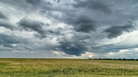 M&A Trendonderzoek: Wat verwachten dealmakers van de M&A-markt?