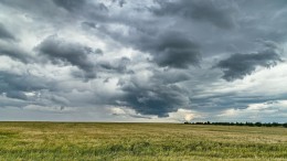 M&A Trendonderzoek: Wat verwachten dealmakers van de M&A-markt?