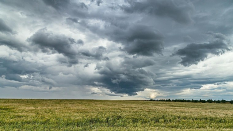 M&A Trendonderzoek: Wat verwachten dealmakers van de M&A-markt?