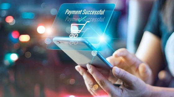 Hoe Mollie 665 miljoen euro ophaalde