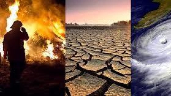 ‘Klimaatwetgeving: geen bedreiging, maar kans’