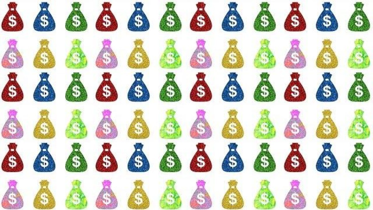 Miljoenen voor groei Eindhovense bezorgspecialist Sendcloud