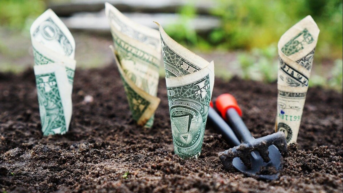 NVP: bedrijven met investeerders groeien harder dan de rest.