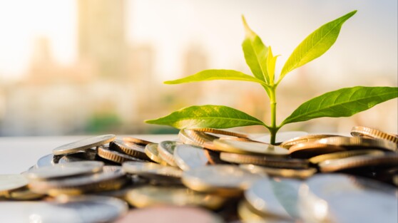 Sustainable Finance