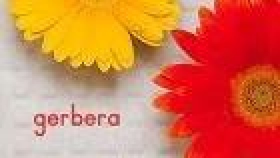 Holland Corporate Finance, Houthoff Buruma en Simmons & Simmons adviseren bij fusie portfoliobedrijf H2