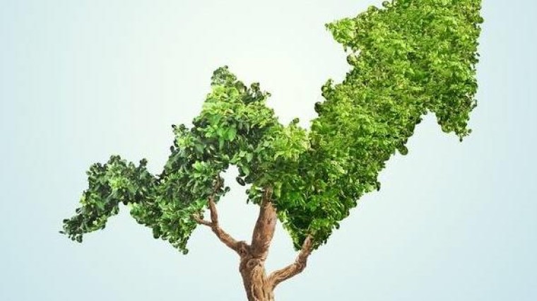 CPB ziet beperkt effect van investeringsregeling BIK