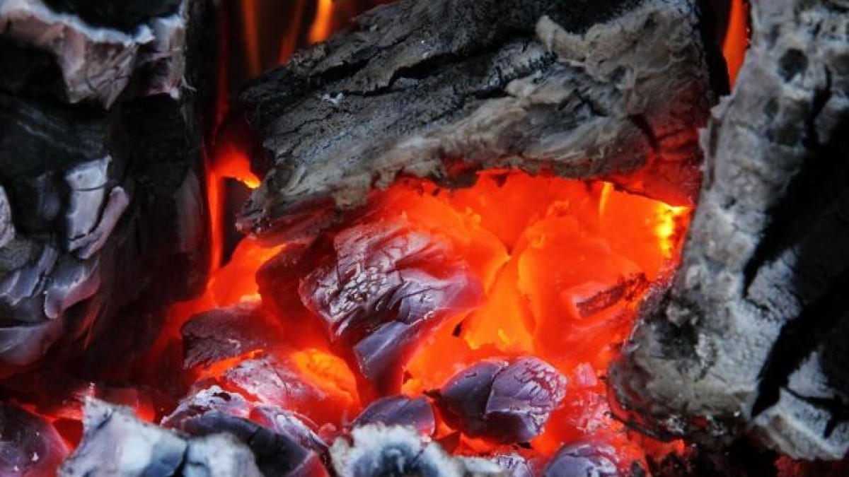 'Bod op kolencentrale Nuon terecht afgewezen'