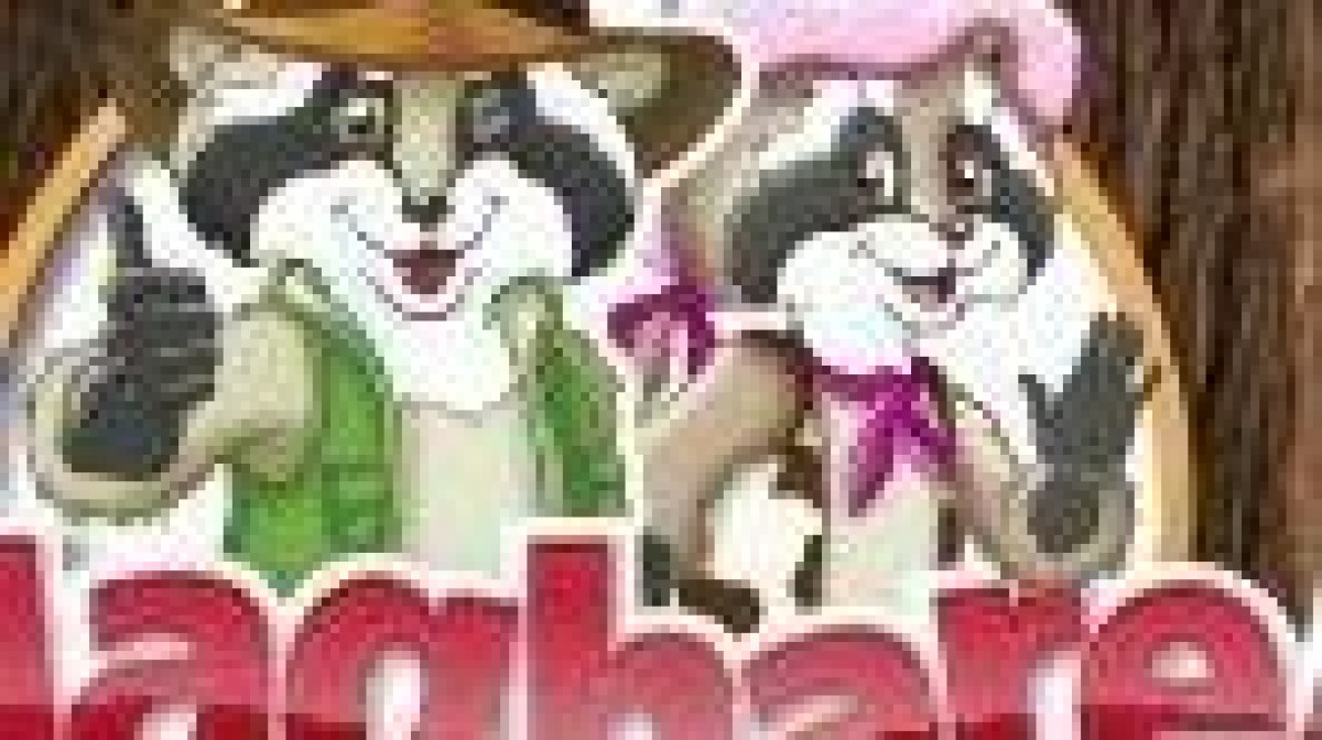 Houthoff Buruma, DLA Piper en Deloitte adviseren bij overname Attractiepark Slagharen