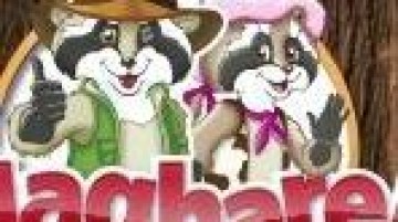 Houthoff Buruma, DLA Piper en Deloitte adviseren bij overname Attractiepark Slagharen