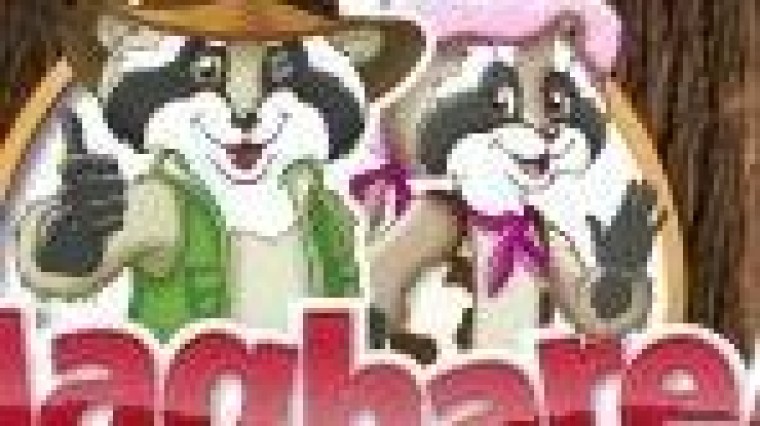 Houthoff Buruma, DLA Piper en Deloitte adviseren bij overname Attractiepark Slagharen