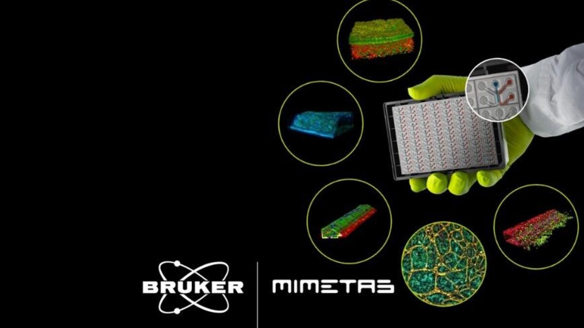 Bruker neemt MIMETAS over