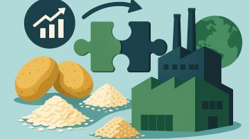 Avebe neemt Poolse branchegenoot over