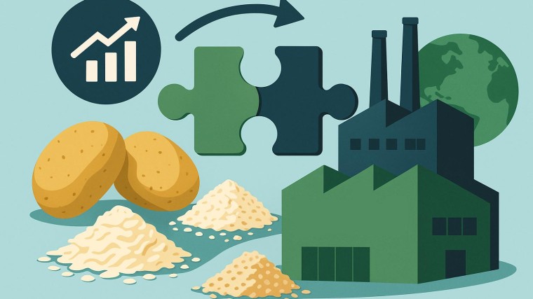 Avebe neemt Poolse branchegenoot over