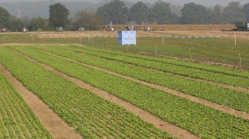 Bedrijfsopvolging bij Nederlandse landbouwondernemingen staat onder druk