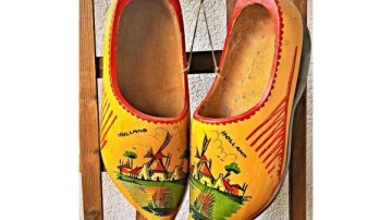 Arcadis en Cycas Capital beginnen opkoopfonds voor boerenland