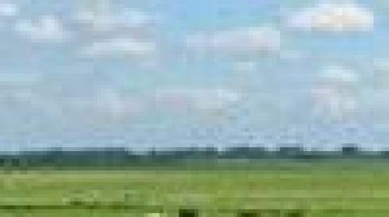 Nederland Silicon Polder!