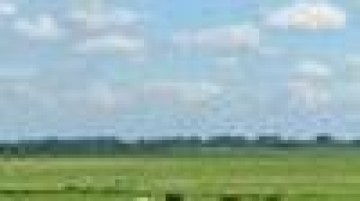 Nederland Silicon Polder!