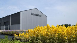 Axeco Participatie stapt in de bloembollen