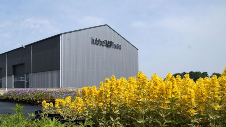 Axeco Participatie stapt in de bloembollen