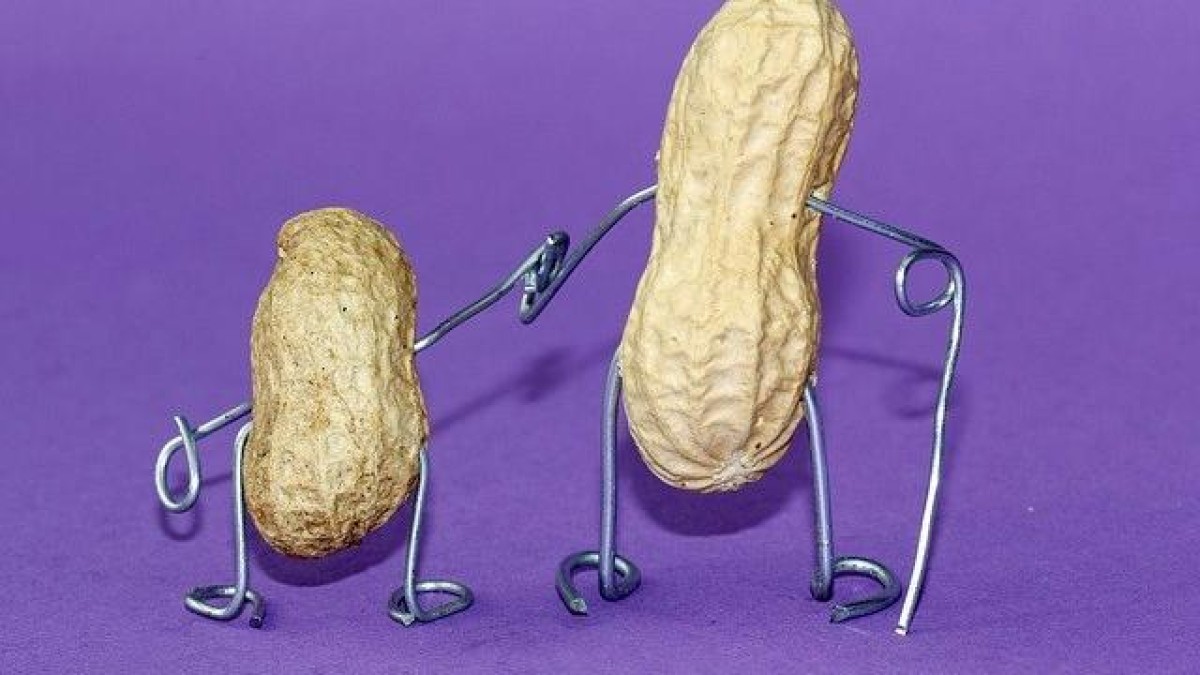 Nestlé koopt fabrikant van middelen tegen voedselallergieën