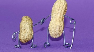 Nestlé koopt fabrikant van middelen tegen voedselallergieën