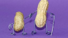 Nestlé koopt fabrikant van middelen tegen voedselallergieën