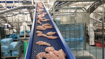 Plukon Food neemt volgend bedrijf over in Spanje