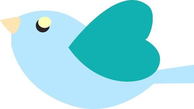 Ook Twitter is geïnteresseerd in overname TikTok