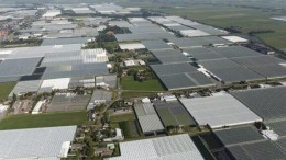 Overname Yeager Energy in aardwarmte voor de tuinbouw