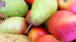 Liquidseal gaat met innovatie naar NPEX-effectenbeurs