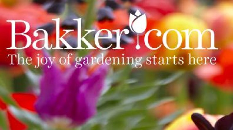 Bakker.com na doorstart binnen een jaar weer verkocht