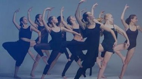 ShowBird neemt Plugify over