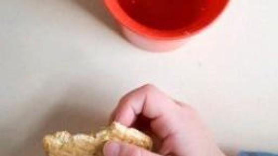 Britse Investeerder koopt vestigingen van kinderopvangbedrijf Estro