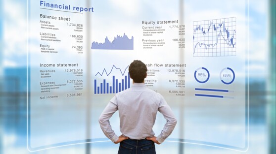 Advanced Financial Statement Analysis at AIF