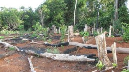 BlackRock eist inzage duurzaamheid van bedrijven