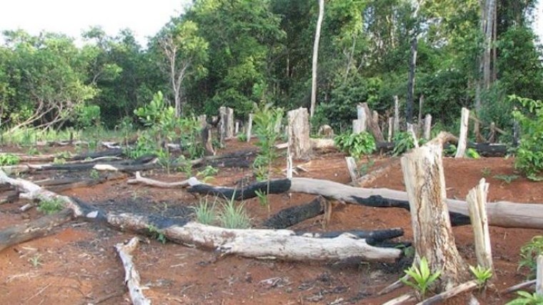 BlackRock eist inzage duurzaamheid van bedrijven