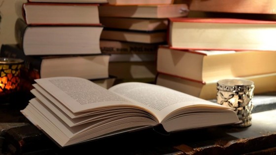 Brill wil twee Duitse uitgeverijen overnemen