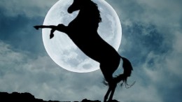 Gebrek aan durfkapitaal, talent en markten fnuikt unicorns EU