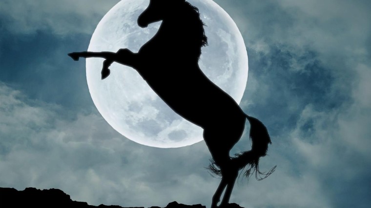 Gebrek aan durfkapitaal, talent en markten fnuikt unicorns EU