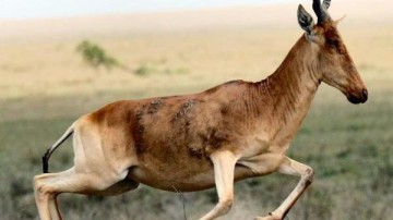 Riverdam neemt meerderheidsbelang in Aexus